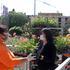 Zeleni grad Šibenik građanima podijelio 2000 sadnica sezonskog cvijeća
