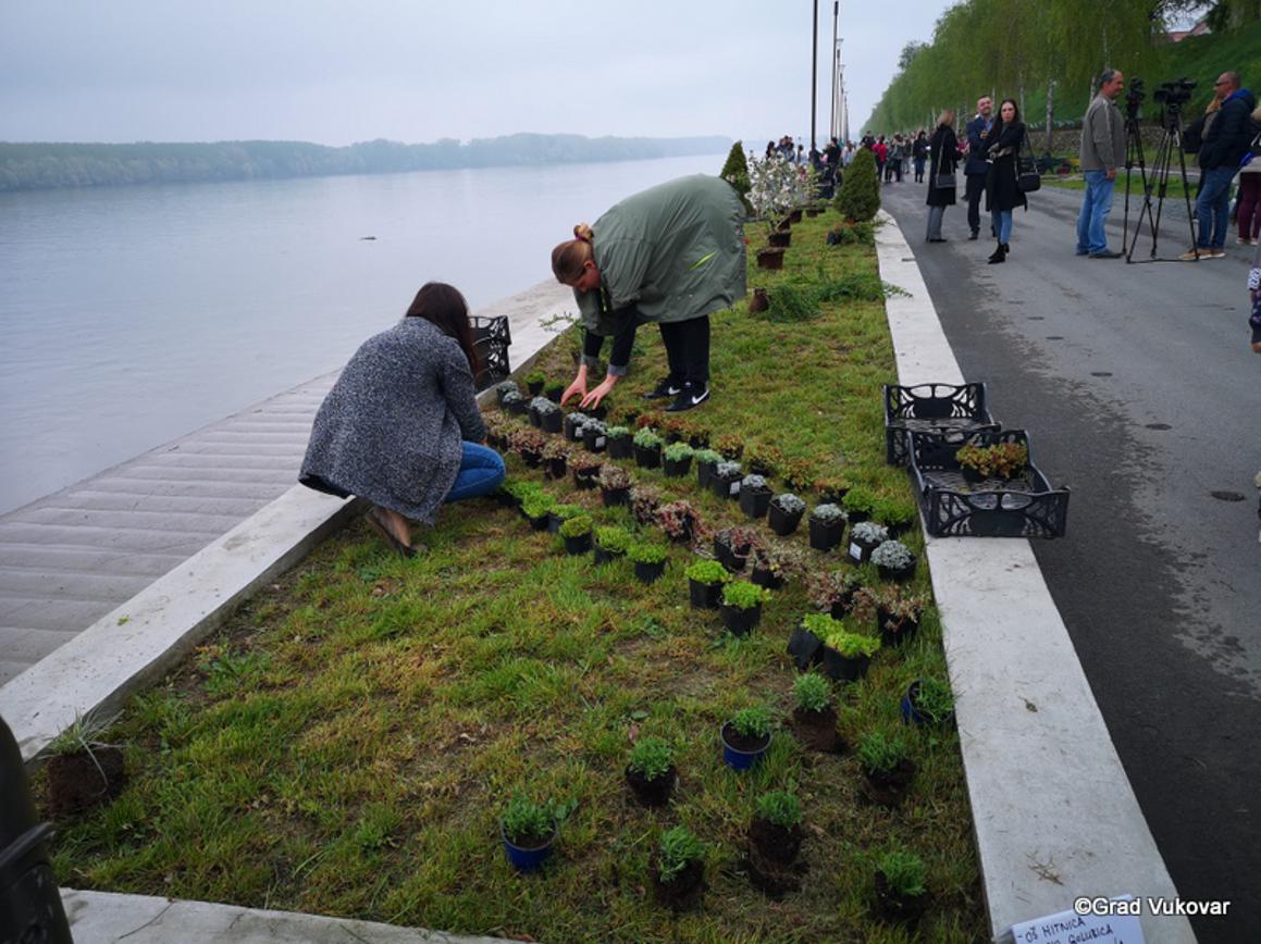 Mališani iz vrtića, učenici i članovi udruga sadili grmlje, cvijeće i uređivali žardinjere uz Dunav