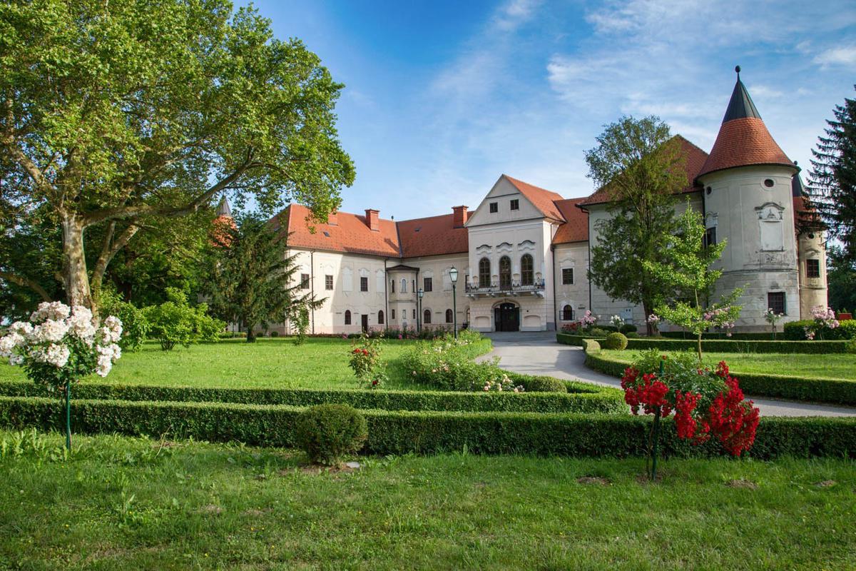 Natura 2000 područja u Zagrebačkoj županiji ključna su za opstanak rijetkih vrsta, poput bijelih roda koje svake godine obogaćuju pejzaže regije. U park-šumi Tepec-Palačnik nalaze se ostaci starog grada Samobora iz 13. stoljeća, dok su dvorci poput onih u Jastrebarskom i Lugu Samoborskom svjedoci bogate povijesti hrvatskih plemićkih obitelji