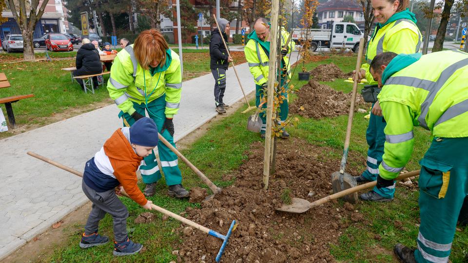 Samobor nastavlja sa sadnjom stabala