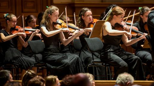 U sklopu projekta Youth Orchestra Alpe Adria, čiji je nositelj Konzervatorij „Johann-Joseph-Fux“, učenici Glazbene škole iz Varaždina održali su s kolegama iz Nice, Brunica, Ljubljane, Kopra i Szombathelya veličanstveni koncert u Musikvereinu u Grazu