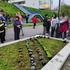 Mališani iz vrtića, učenici i članovi udruga sadili grmlje, cvijeće i uređivali žardinjere uz Dunav