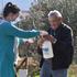 Capra domestica donirala više od 100 litara mlijeka, jogurta i kefira