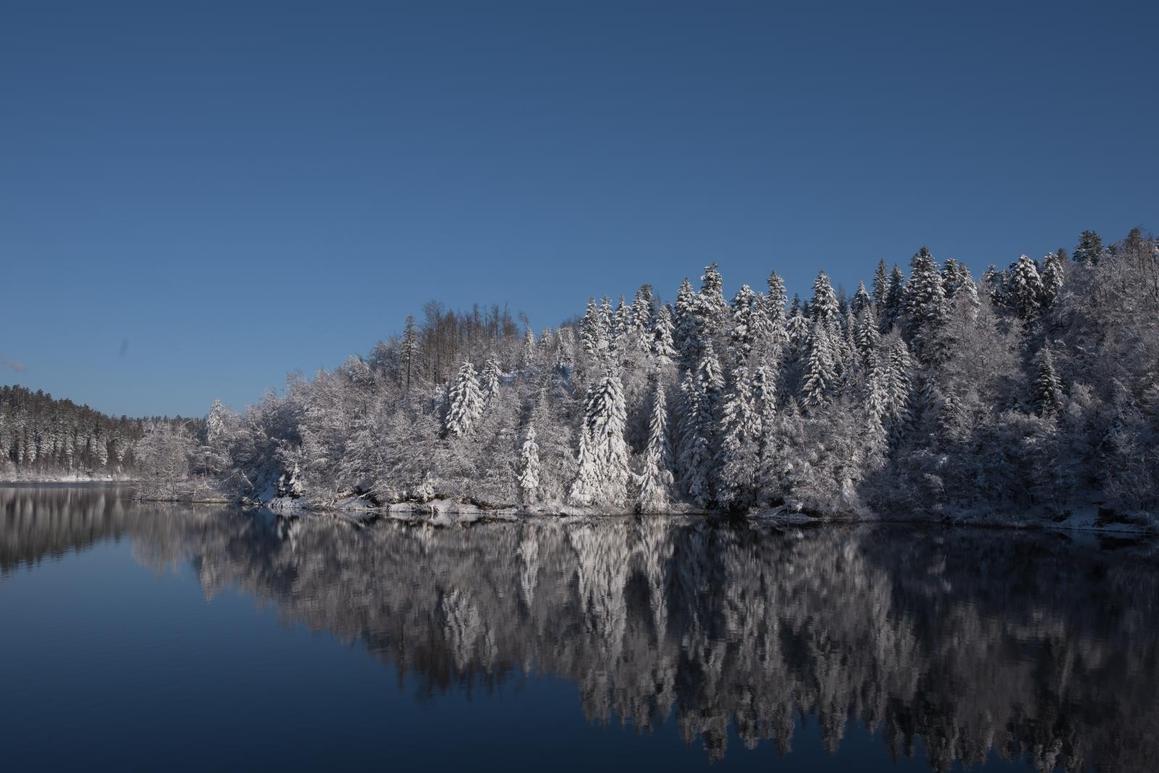 Predivni prizori Lokvarskog jezera
