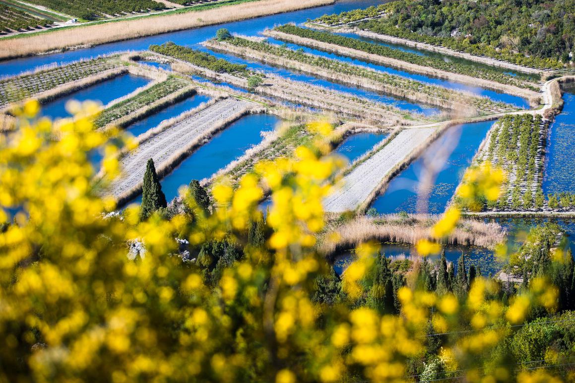 Europski projekti premrežili područje od Konavala do doline Neretve