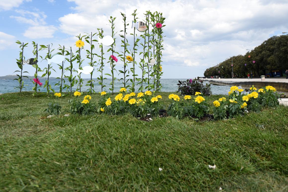 Riva prepuna cvjetnih kreacija koje mame poglede brojnih turista