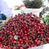 Na tržnicu stigle trešnje, ali i jagode!