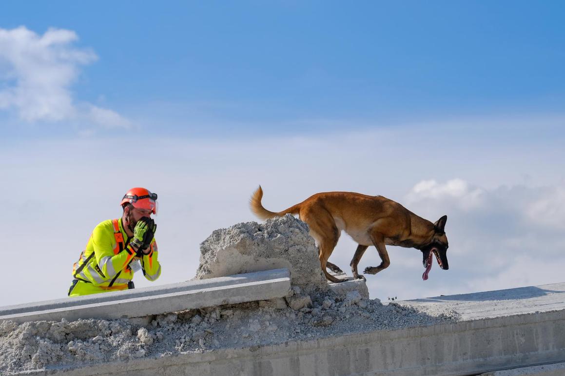Pas pretraži 1000 četvornih metara ruševina u samo 20 minuta