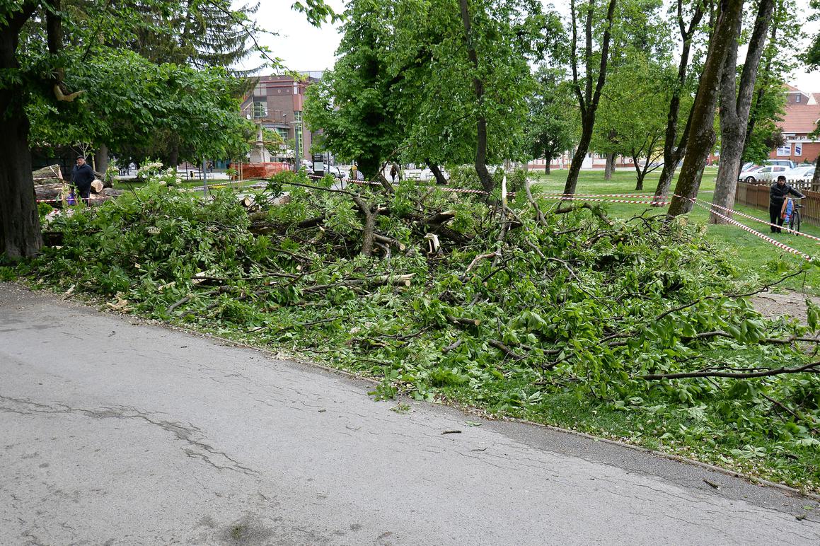 Građani pitaju: Zašto stablo koje se srušilo na pješačku stazu već prije nije uklonjeno?
