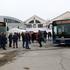 Osijekom vozi 13 novih modernih autobusa