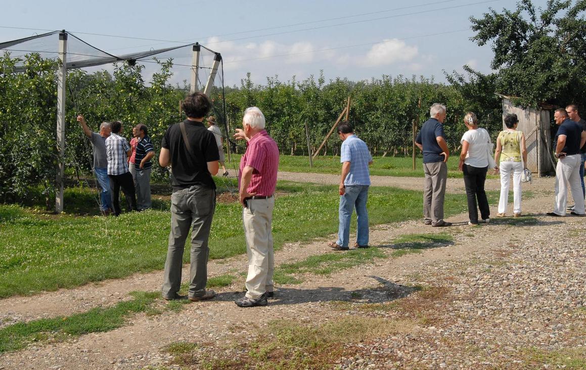 Slavonski voćari i povrtlari izlaz traže u udruživanju