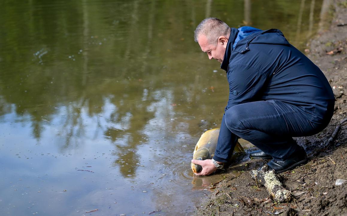 Trakošćansko jezero bogatije za 4,2 tone ribljeg fonda