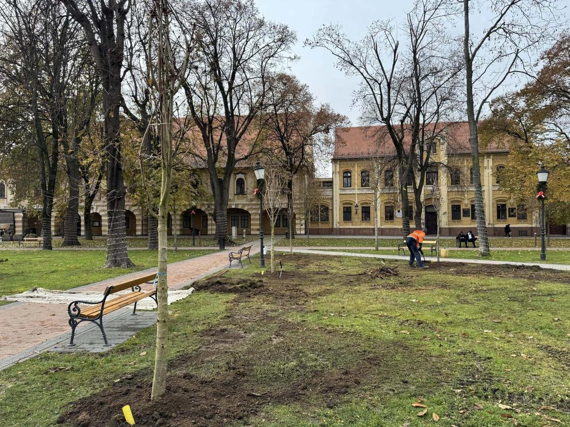 U kratkom vremenu na području grada zasadit će 2000 stabala