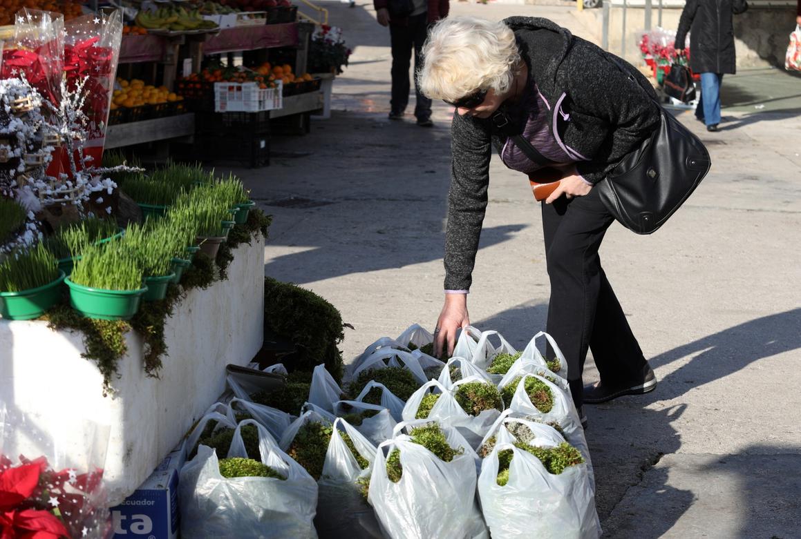 Građane privukla ponuda božićne pšenice i mahovine za izradu jaslice na šibenskoj tržnici