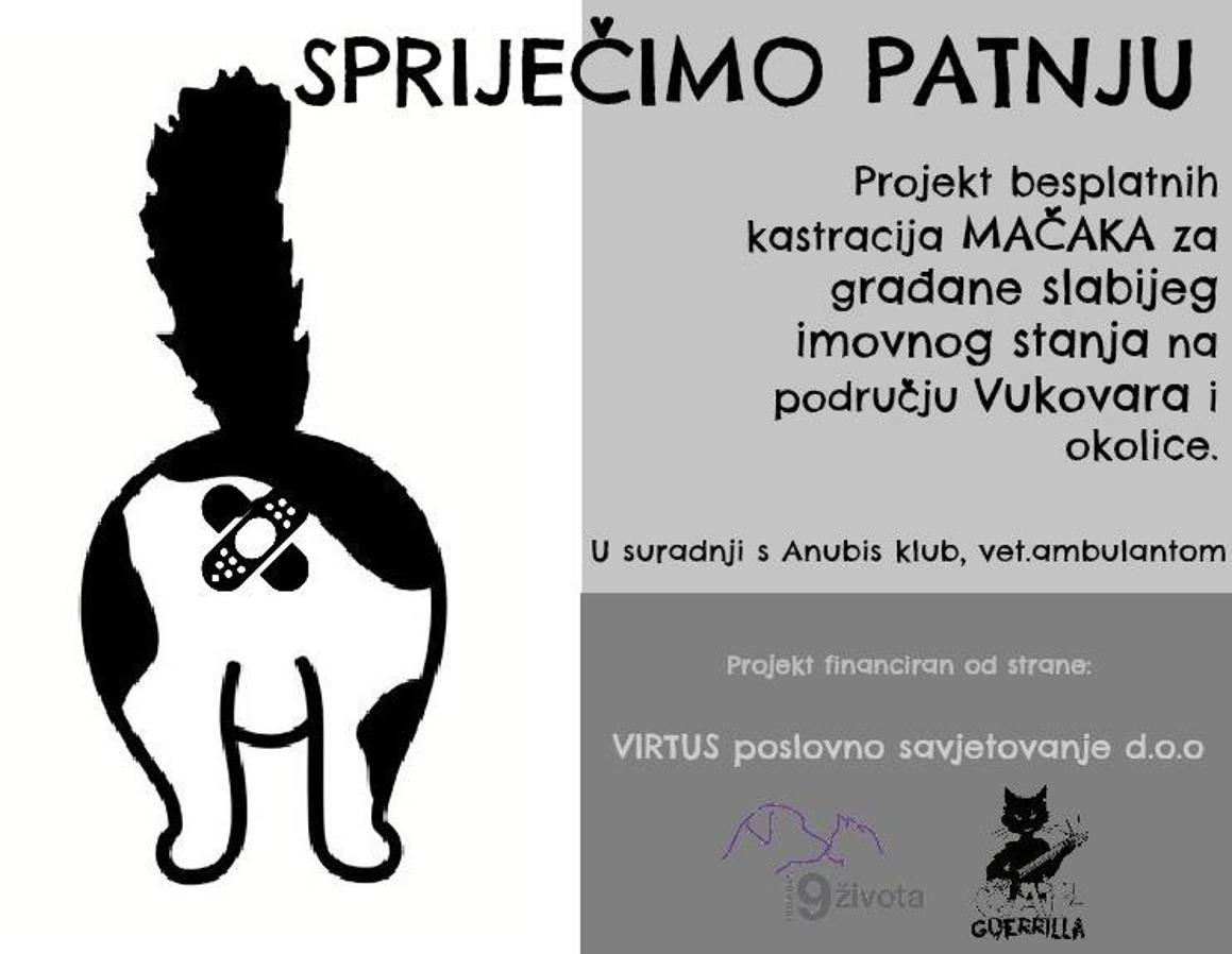 Besplatne kastracije mačaka s područja grada Vukovara i okolice