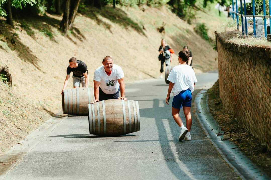 Vinatlon i Vinski maraton koji se održavaju u zmajevačkim surducima i gatorima, spajaju sport, zabavu i promociju vrhunskih baranjskih vina